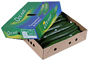 Le concombre Océane