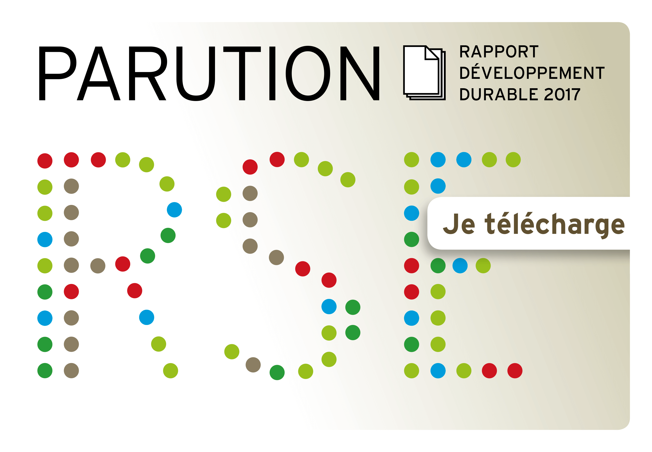 Rapport développement durable