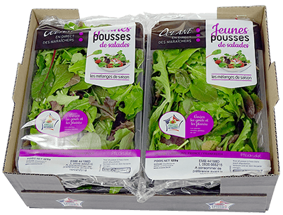 Jeunes pousses de salade Océane