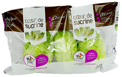 Salade Coeur De Sucrine - Comptoirprimeur